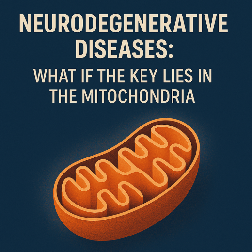 Neurodegenerative Diseases: Unlocking the Mitochondrial Connection